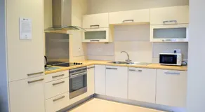Carrick Plaza Suites and Apartments - Image 4