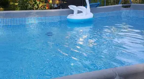 Country House con Parco di 4000 mq & Relax Lodge nel Verde - Image 3