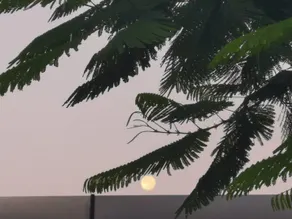 Nantawa - Image 2