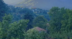 Nonna Emma - Image 4