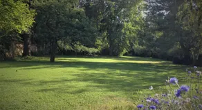Le Clos des Noues - Image 5