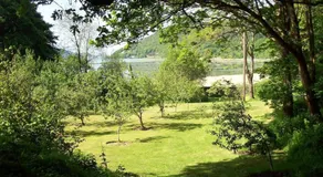 Yr Hen Feudy - Image 4