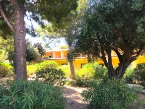 Club Esse Palmasera - Image 2