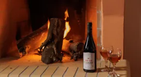 Taygeti's mountain lodge - Image 3