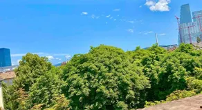 Bright and quite Appartment with Balcony & Skylines View, Kitchen,Bath,Wifi, Fan - Image 5