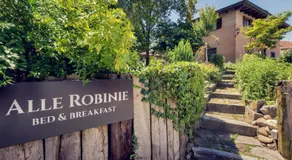 Alle Robinie - Image 5