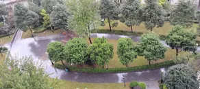 ningmenghotel - Image 5