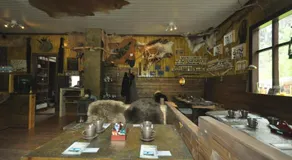 Hardanger Basecamp - Image 5