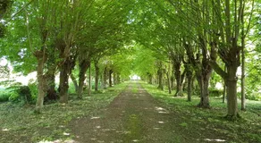Domaine du Manoir de Vains - Image 5