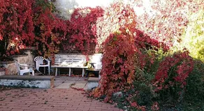 Gästhaus - Image 5