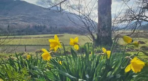 Innishewan Farmhouse B&B - Image 3