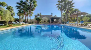 Las Palmeras - Image 5