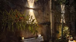 Star Guest - Image 4