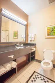 Fairfield by Marriott Inn & Suites Houston Channelview - Image 5
