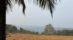 Golden Breeze Bekal - Image 3
