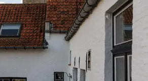 De Levensboom - Het Oud Gemeentehuis - Image 4