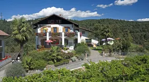 Felsenegg - Image 4