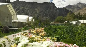 Apple Nubra Cottage - Image 3