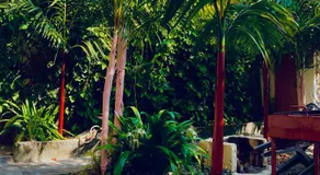 Kmp Garden Retreat & Bar - Image 5