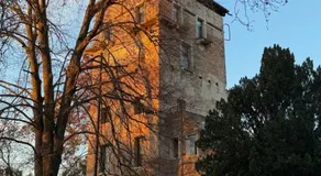 Massimago Wine Tower - Image 5