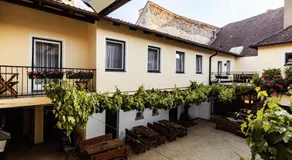 Grüner Baum Wachau - Retro Pension - Image 4