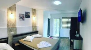 Vila Casa Leul - Image 2