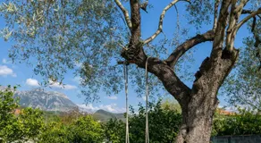 3 Roots Villa - Image 4