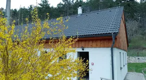 Penzion Litohlavy 17 - Na samotě u lesa - Image 5
