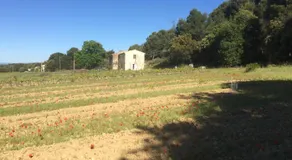 Chambre hôtes Les Garrigues CUCURON - Image 3
