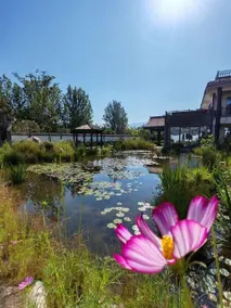 Yunli Luming - Image 5