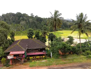 Coorg Cardamom Estate Stay - Image 2