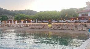 Maniatis Garden - Image 3