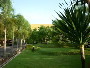 Hotel Cendrawasih - Image 3