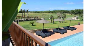 Mas Umberto - Image 2