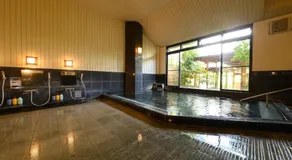 YufuinOnsenRyokan Mebaeso - Image 5