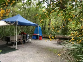 WA Wilderness Pemberton - Image 2
