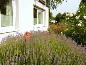 Appartamento per le vacanze a Löwensen con terrazza privata - Image 1
