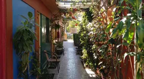 Hostal Michel - Image 5