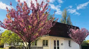 Park Pension - Image 2