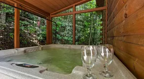 Specials!  Mt Views + Pool + Hot Tub + Arcade Games + Karaoke  - Image 4
