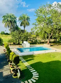 Sheel Farms - Image 5
