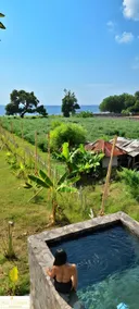 A Mango Tree House with a private swimming pool - Image 5