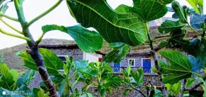 Gîte Baraka Taghia - Image 4