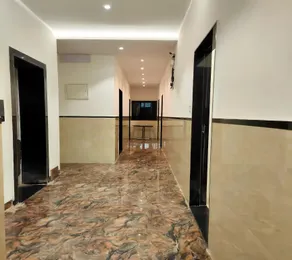 The Kiwi - Image 3