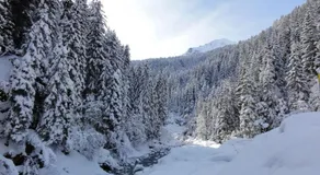 Appartement confortable à Megève - 60 m² - vue sur montagnes - Image 3