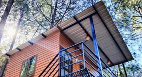 Forest Cabin Bugyal Stays - Image 3