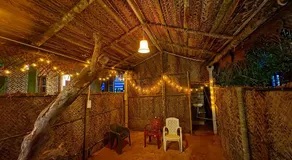Areca Nest - Image 5