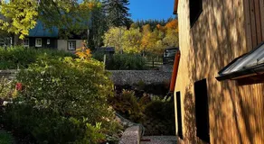 Chalette Jasan - Image 5