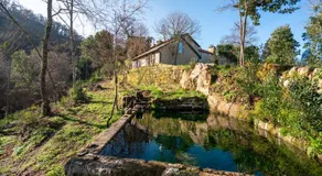 Quinta das Lamas - Antiga Adega - Image 5
