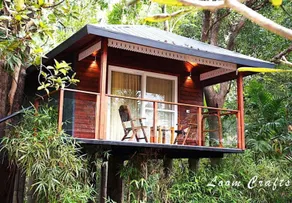 Hotel O Erica Hills Resort, Kasauli - Image 2